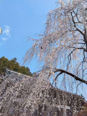 Img_20260316100824759