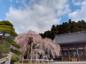 Img_20260317074220048