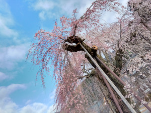 Img_20260317074231107