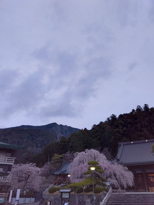 Img_20260318173643970