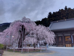 Img_20260318173714651