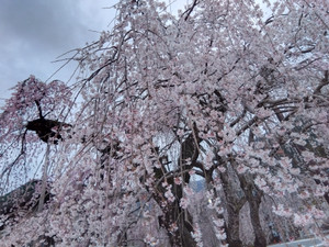 Img_20260318173727035