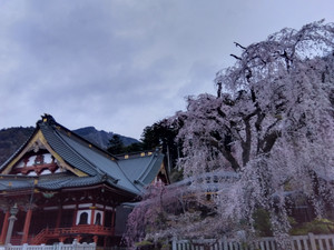 Img_20260318174014058