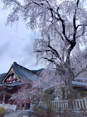 Img_20260318174048408