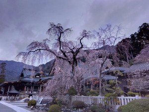 Img_20260318174108192