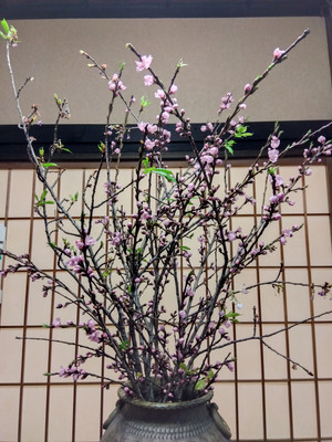 Img_20260319155226725