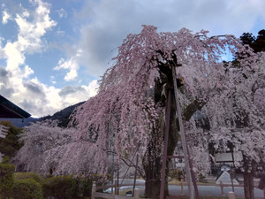 Img_20260319161720138