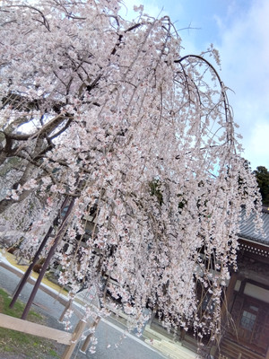 Img_20260319161732013