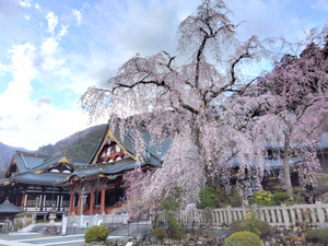 Img_20260319161855154