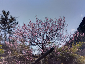 Img_20260321124135143