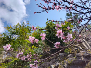 Img_20260321142456432