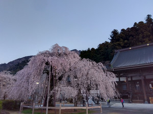 Img_20260322060130676