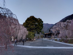 Img_20260322060248761