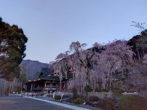 Img_20260322060307068