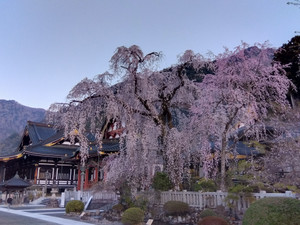 Img_20260322060314437