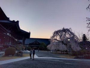 Img_20260322060348883