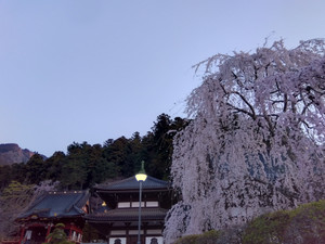 Img_20260322060430554