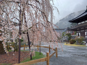 Img_20260325170211351