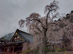 Img_20260325170417004