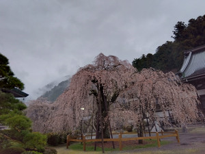 Img_20260325170557010