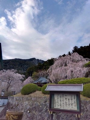 Img_20260326164955910