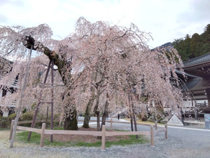 Img_20260326165020234