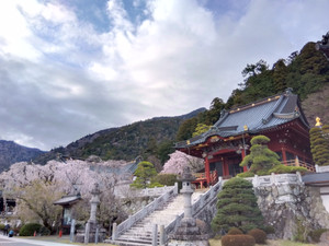 Img_20260326165116285