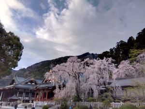 Img_20260326165155439