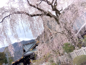 Img_20260326165220401