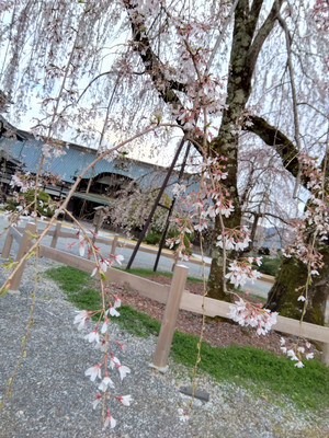 Img_20260326165309882