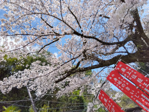 Img_20260327100540013