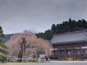 Img_20260329173037428