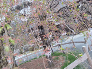 Img_20260329173054789