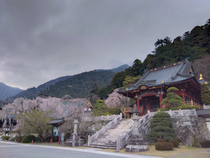 Img_20260329173133564