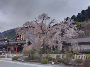 Img_20260329173524009