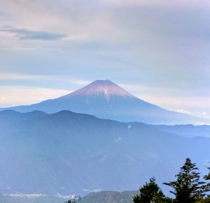 Img_202509181623161472