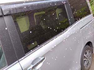 Img_20260401064750487