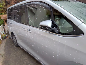 Img_20260401064802451