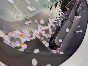 Img_20260401064809702