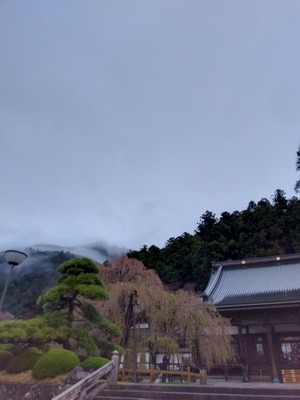 Img_20260402065541397