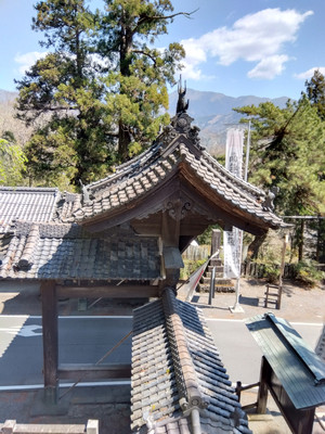 Img_20260403114731980