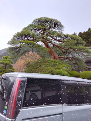 Img_20260402070735009