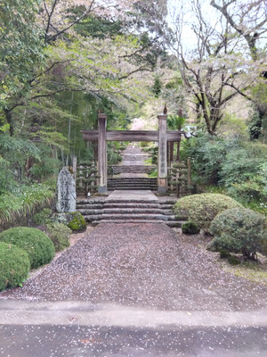 Img_20260405171525170_2