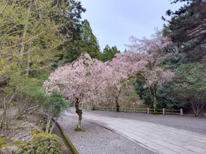 Img_20260405171642175_2