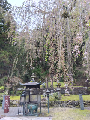 Img_20260405171730139_2