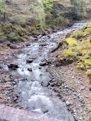 Img_20260405171817742