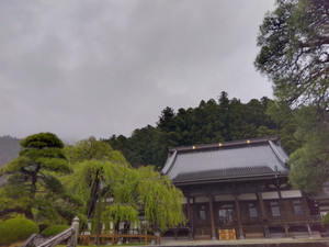 Img_20260410083627116