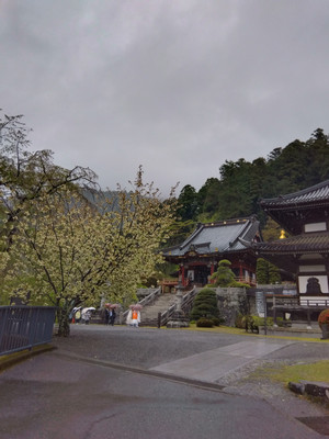 Img_20260410083857924