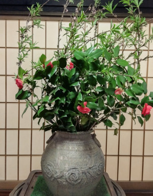 Img_202604101006111892