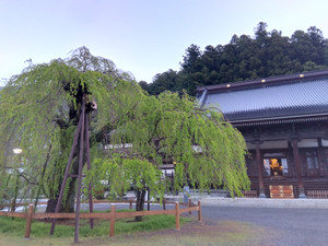 Img_20260411052212795 Img_20260411052212795